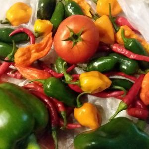 Meet your Posher, Nikka